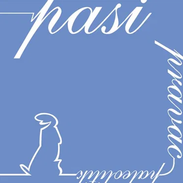 Pravac paleolitik by Pasi - album cover