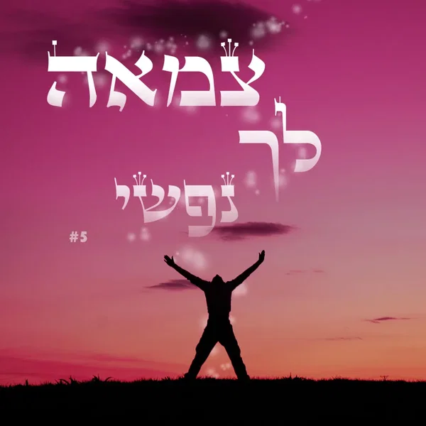 הפרויקט החסידי - חלק א