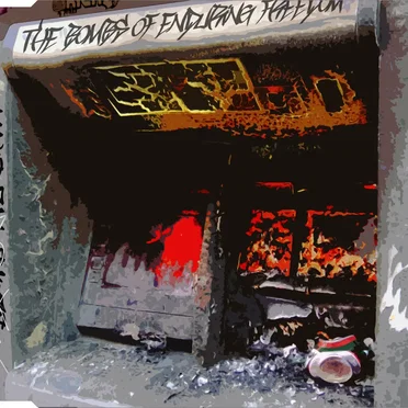Bomb the Bank by The Bombs of Enduring Freedom - album cover