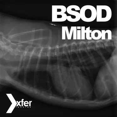 Milton by BSOD - album cover