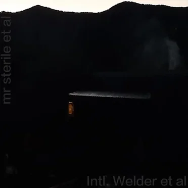 Intl. Welder et al