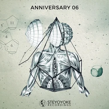 Steyoyoke Anniversary, Vol. 06 by Various Artists - album cover
