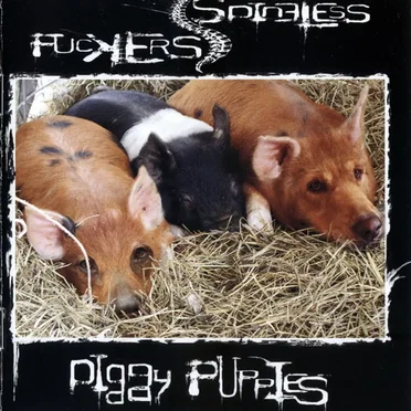 Piggy Puppies by Spineless Fuckers - album cover
