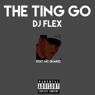 The Ting Go Challenge by DJ Flex - album cover
