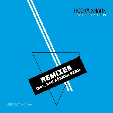 Perfect in a Way [REMIXES]