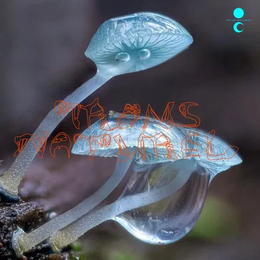 Transnaturel by Various Artists - album cover