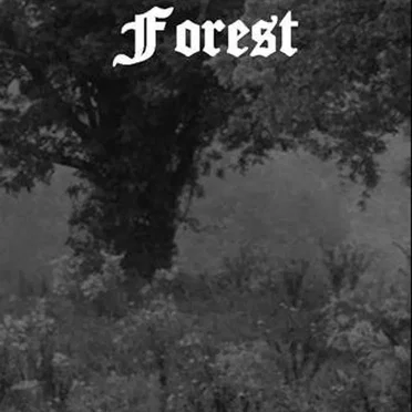 Tears of Distant Forest