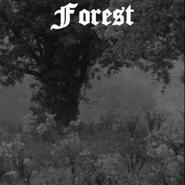 Tears of Distant Forest