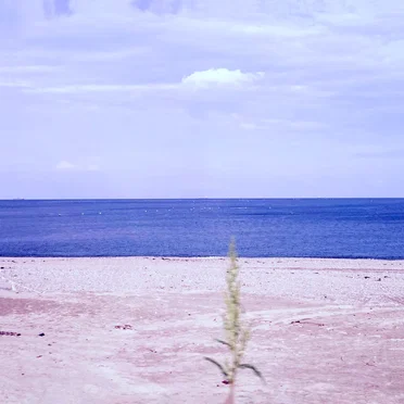 그리움도 병