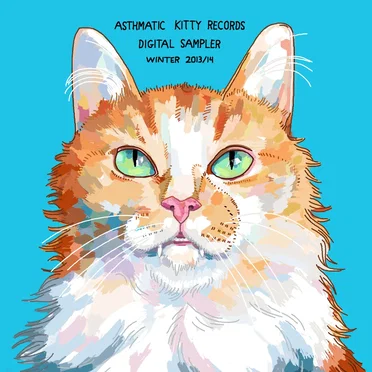 Asthmatic Kitty Digital Sampler, Winter 2013/14 by Various Artists - album cover