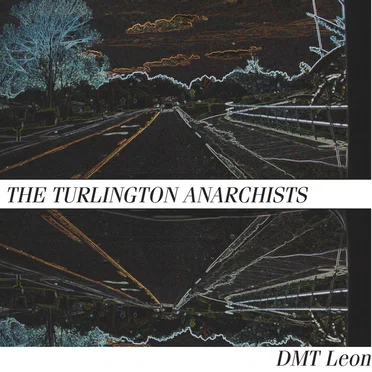 DMT Leon by The Turlington Anarchists - album cover