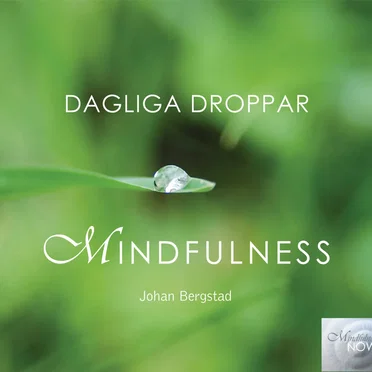 Dagliga droppar mindfulness by Johan Bergstad - album cover