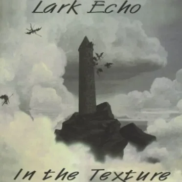 In the Texture by Lark Echo - album cover