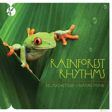 Rainforest Rhythms