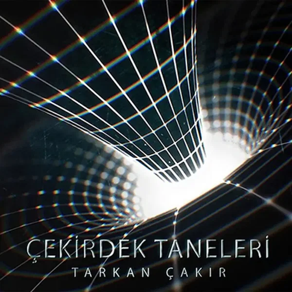 Çekirdek Taneleri