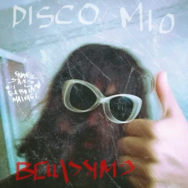 Disco mio bellissimo by Samuele Stanco e i Gabbiani Malvagi - album cover
