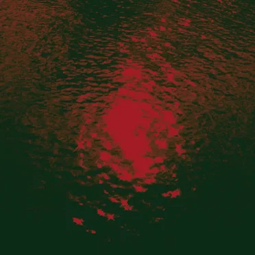 Ultraviolencia (Analog Love. 2016)