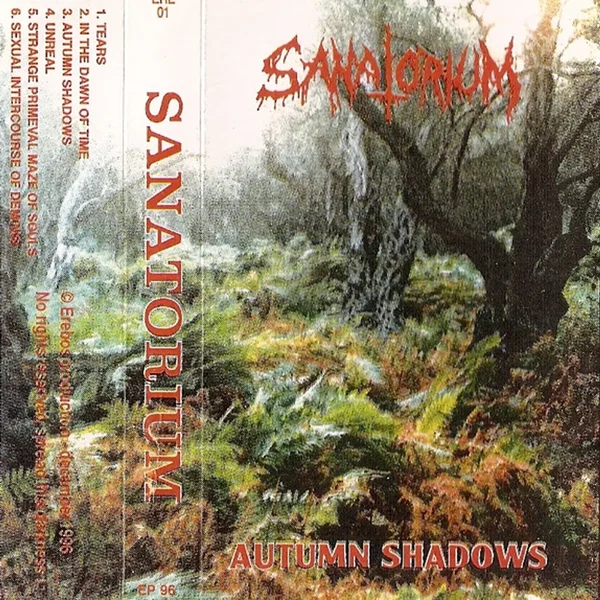 Autumn Shadows