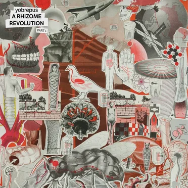 A Rhizome Revolution - Part 1