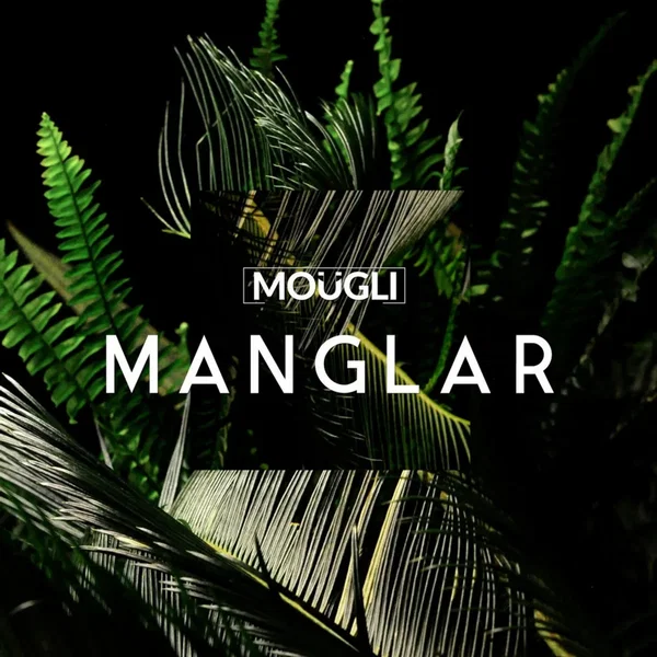 Manglar