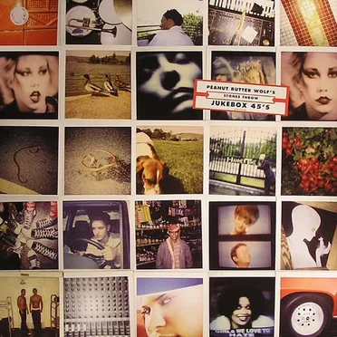 Peanut Butter Wolf’s Jukebox 45’s: The Stones Throw Records 7-inch Series by Various Artists - album cover