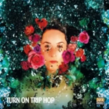 Turn on Trip Hop by Various Artists - album cover