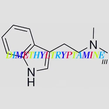 Dimethyltryptamine III