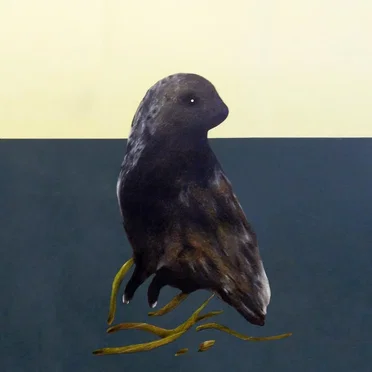 Eagle Lake Owls by Eagle Lake Owls - album cover