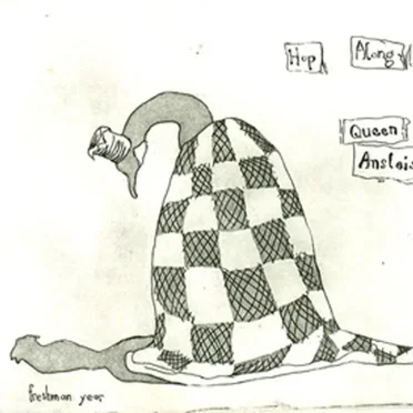 Freshman Year by Hop Along, Queen Ansleis - album cover