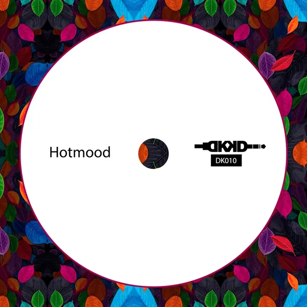 Rhythm Of The Boogie