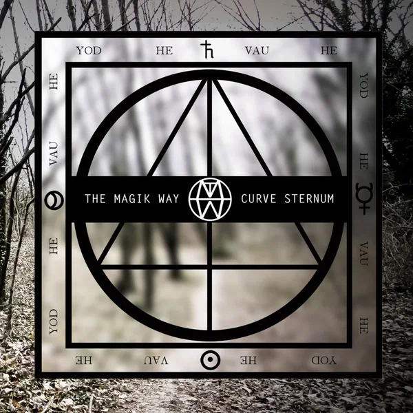 Curve Sternum