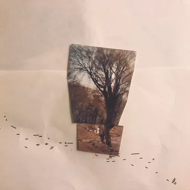 Promenade by Arielle Soucy - album cover