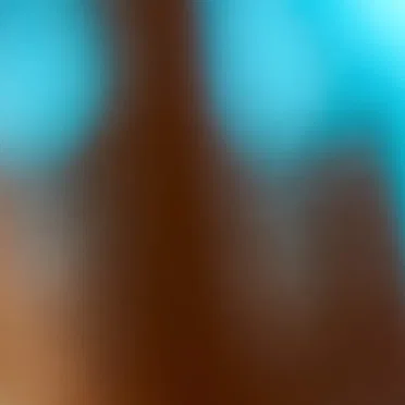 aieum
