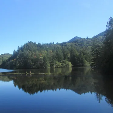 My Dad's Birthday (2021)