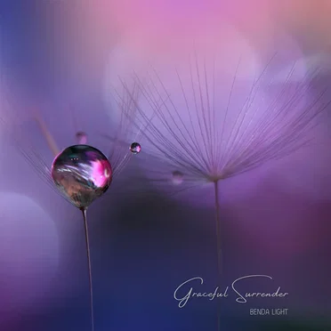 Graceful Surrender by Benda Light - album cover
