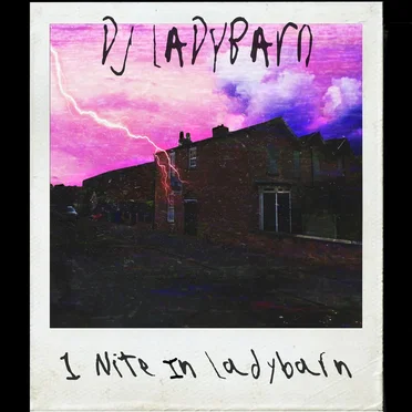 1 Nite In Ladybarn