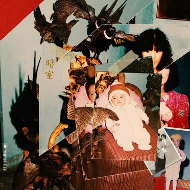 DARKROOM : roommates only