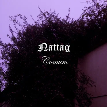 Comum
