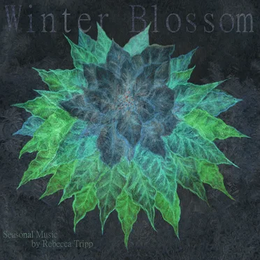 Winter Blossom by Rebecca Tripp - album cover