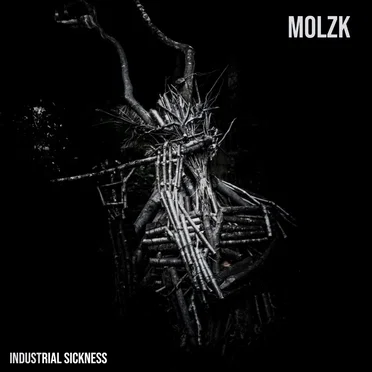 Industrial Sickness