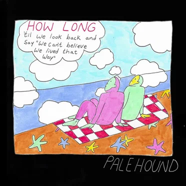 How Long by Palehound - album cover
