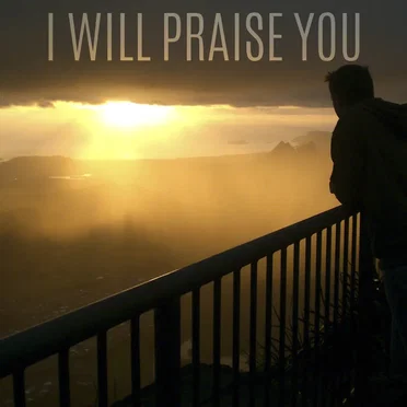 I Will Praise You by The Praise Baby Collection - album cover