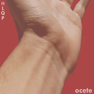 Haciendo lo que puedo by ocete - album cover