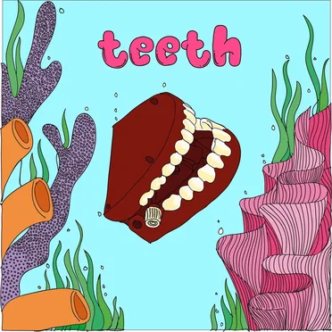 Teeth