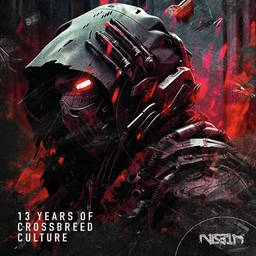 13 Years of Crossbreed Culture by Various Artists - album cover