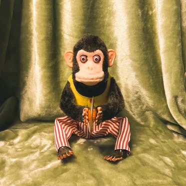 Monkey Business by The Blast Monkeys - album cover