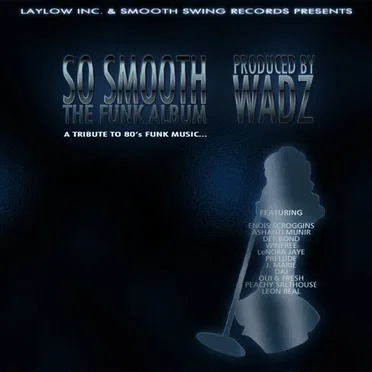 So Smooth : The Funk Album (A Tribute to 80's Funk Music…)