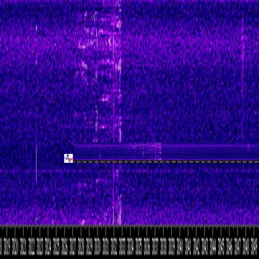 Shortwave Radio 3832.01 kHz North Texas RTL-SDR operated by W5CQU (Very Late at Night)