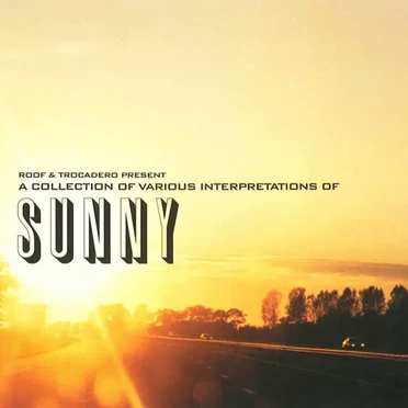 A Collection of Various Interpretations of Sunny by Various Artists - album cover