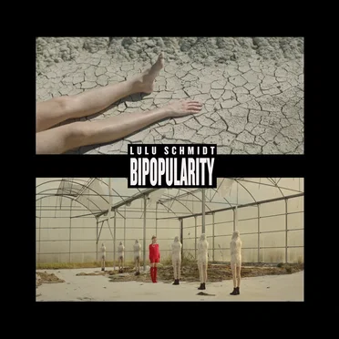 BiPopularity
